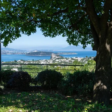 Eos Ischia