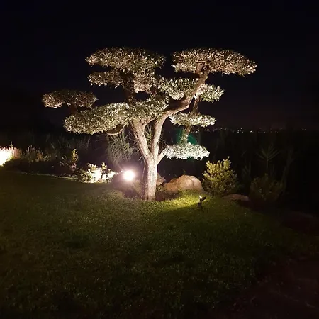 Eos Apartment Ischia